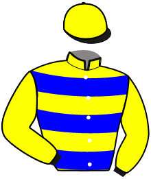 casaque portée par Muidebled A. jockey du cheval de course HIDALGO BOY, information pmu ZETURF casaque portée par Muidebled A. jockey du cheval de course HIDALGO BOY, information pmu ZETURF