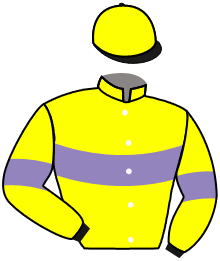 casaque portée par Pasquier S. jockey du cheval de course MERCURISSIME, information pmu ZETURF casaque portée par Pasquier S. jockey du cheval de course MERCURISSIME, information pmu ZETURF