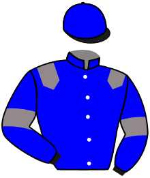 casaque portée par Santangelo C. jockey du cheval de course ROSETTE, information pmu ZETURF