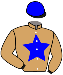 casaque portée par Madamet A. jockey du cheval de course CHANCE, information pmu ZETURF casaque portée par Madamet A. jockey du cheval de course CHANCE, information pmu ZETURF