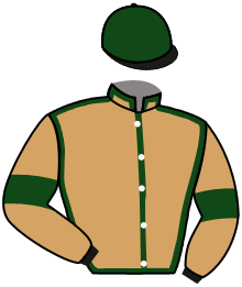 casaque portée par Vandamme Luc. jockey du cheval de course THE GOOD GIRL, information pmu ZETURF