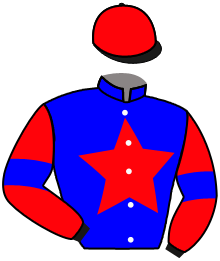casaque portée par Metivier E. jockey du cheval de course MALINALAND (OE), information pmu ZETURF