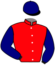 casaque portée par Denti Gio. jockey du cheval de course ALGA CHOPE, information pmu ZETURF