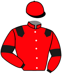 casaque portée par Velon Mlle M. jockey du cheval de course SOUPIR, information pmu ZETURF casaque portée par Velon Mlle M. jockey du cheval de course SOUPIR, information pmu ZETURF