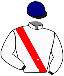 casaque portée par Breux D. jockey du cheval de course AT NO TIME, information pmu ZETURF casaque portée par Breux D. jockey du cheval de course AT NO TIME, information pmu ZETURF