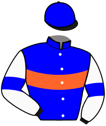 casaque portée par Chauve-laffay Q. jockey du cheval de course KATIA DE PARIS, information pmu ZETURF casaque portée par Chauve-laffay Q. jockey du cheval de course KATIA DE PARIS, information pmu ZETURF