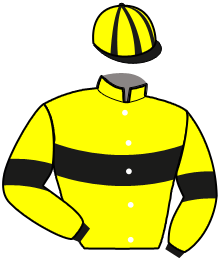 casaque portée par Chauve-laffay Q. jockey du cheval de course LET IT BE PIPOL, information pmu ZETURF casaque portée par Chauve-laffay Q. jockey du cheval de course LET IT BE PIPOL, information pmu ZETURF