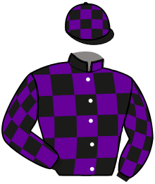 casaque portée par Thonnerieux R. jockey du cheval de course EPICO BLUE, information pmu ZETURF casaque portée par Thonnerieux R. jockey du cheval de course EPICO BLUE, information pmu ZETURF
