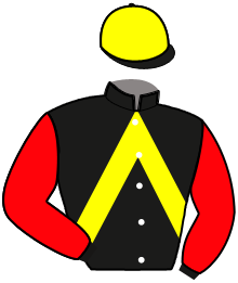 casaque portée par Lavigne Y. jockey du cheval de course KARIBELLE DE NUIT, information pmu ZETURF casaque portée par Lavigne Y. jockey du cheval de course KARIBELLE DE NUIT, information pmu ZETURF