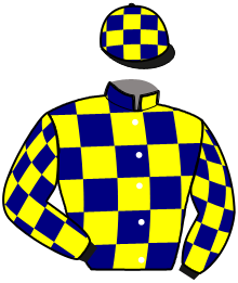 casaque portée par Lemoine Th. jockey du cheval de course JUST THE GREEN, information pmu ZETURF casaque portée par Lemoine Th. jockey du cheval de course JUST THE GREEN, information pmu ZETURF