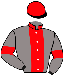 casaque portée par Lebouc Hug. jockey du cheval de course BELLA CIAO, information pmu ZETURF casaque portée par Lebouc Hug. jockey du cheval de course BELLA CIAO, information pmu ZETURF