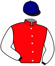 casaque portée par Rousset Y. jockey du cheval de course GO CASH, information pmu ZETURF casaque portée par Rousset Y. jockey du cheval de course GO CASH, information pmu ZETURF