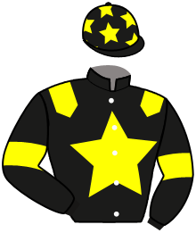 casaque portée par Tjalsma Mme H. jockey du cheval de course GRAFFITI BOND, information pmu ZETURF casaque portée par Tjalsma Mme H. jockey du cheval de course GRAFFITI BOND, information pmu ZETURF