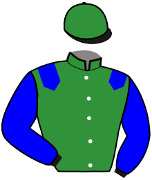 casaque portée par Zaccherini M. jockey du cheval de course HUNADORA, information pmu ZETURF casaque portée par Zaccherini M. jockey du cheval de course HUNADORA, information pmu ZETURF