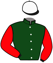 casaque portée par Castaldo M. jockey du cheval de course FLY LR, information pmu ZETURF casaque portée par Castaldo M. jockey du cheval de course FLY LR, information pmu ZETURF