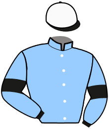 casaque portée par Lo Verde G. jockey du cheval de course ENCIERRO, information pmu ZETURF casaque portée par Lo Verde G. jockey du cheval de course ENCIERRO, information pmu ZETURF