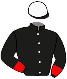 casaque portée par Gocciadoro A. jockey du cheval de course FIRST OF MIND, information pmu ZETURF casaque portée par Gocciadoro A. jockey du cheval de course FIRST OF MIND, information pmu ZETURF