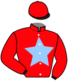 casaque portée par De Jesus Est. jockey du cheval de course GALION, information pmu ZETURF casaque portée par De Jesus Est. jockey du cheval de course GALION, information pmu ZETURF