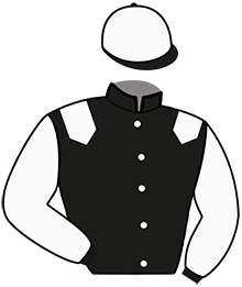 casaque portée par Sorel J. Ch. jockey du cheval de course FICIMER, information pmu ZETURF casaque portée par Sorel J. Ch. jockey du cheval de course FICIMER, information pmu ZETURF