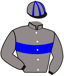 casaque portée par Baude S. jockey du cheval de course ISCHIA, information pmu ZETURF casaque portée par Baude S. jockey du cheval de course ISCHIA, information pmu ZETURF