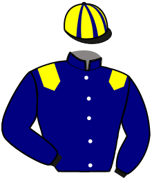 casaque portée par Gelormini G. jockey du cheval de course KARINA STEED, information pmu ZETURF