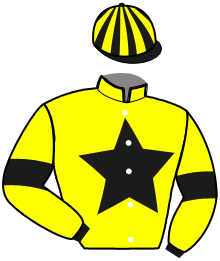 casaque portée par Thomain D. jockey du cheval de course KISS ME DU RUEL, information pmu ZETURF