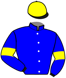 casaque portée par Bazire N. jockey du cheval de course KAMBRIA JOSSELYN, information pmu ZETURF