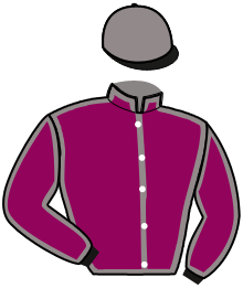 casaque portée par Mottier M. jockey du cheval de course KEEP GOING, information pmu ZETURF