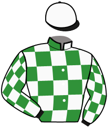 casaque portée par Verva Pie. Y. jockey du cheval de course JUSTIN BOLD, information pmu ZETURF
