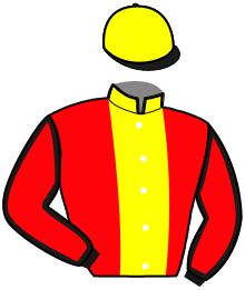 casaque portée par Raffin E. jockey du cheval de course JOSH POWER, information pmu ZETURF