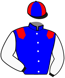 casaque portée par Abrivard A. jockey du cheval de course JUST LOVE YOU, information pmu ZETURF