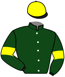casaque portée par Gelormini G. jockey du cheval de course DIMITRI FERM, information pmu ZETURF