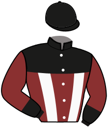 casaque portée par Ploquin Pau. Ph. jockey du cheval de course DON FANUCCI ZET, information pmu ZETURF