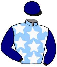 casaque portée par Goncet R. jockey du cheval de course KANGCHENJUNGA, information pmu ZETURF casaque portée par Goncet R. jockey du cheval de course KANGCHENJUNGA, information pmu ZETURF