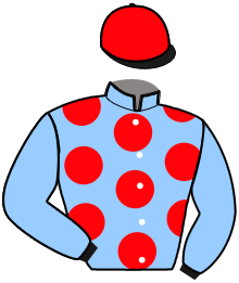 casaque portée par Abrivard M. jockey du cheval de course KEOPS BEGONIA, information pmu ZETURF casaque portée par Abrivard M. jockey du cheval de course KEOPS BEGONIA, information pmu ZETURF