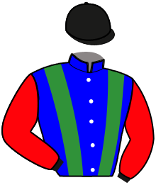 casaque portée par Raffin O. jockey du cheval de course FREEDOM, information pmu ZETURF casaque portée par Raffin O. jockey du cheval de course FREEDOM, information pmu ZETURF