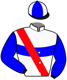 casaque portée par Guyon M. jockey du cheval de course NIGHT OF LIGHTNING, information pmu ZETURF casaque portée par Guyon M. jockey du cheval de course NIGHT OF LIGHTNING, information pmu ZETURF
