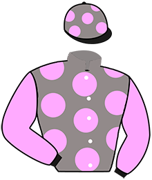casaque portée par Boutin Hug. jockey du cheval de course MANNE, information pmu ZETURF casaque portée par Boutin Hug. jockey du cheval de course MANNE, information pmu ZETURF