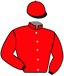 casaque portée par Bachelot T. jockey du cheval de course SOPRAN PECHINO, information pmu ZETURF casaque portée par Bachelot T. jockey du cheval de course SOPRAN PECHINO, information pmu ZETURF
