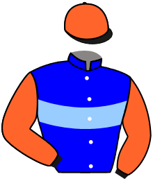 casaque portée par Lebouc Hug. jockey du cheval de course GRAND LEON, information pmu ZETURF casaque portée par Lebouc Hug. jockey du cheval de course GRAND LEON, information pmu ZETURF