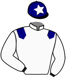 casaque portée par Corallo E. jockey du cheval de course BY FAR, information pmu ZETURF casaque portée par Corallo E. jockey du cheval de course BY FAR, information pmu ZETURF