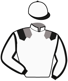 casaque portée par Bazire J. M. jockey du cheval de course FERGUS DEL RONCO, information pmu ZETURF casaque portée par Bazire J. M. jockey du cheval de course FERGUS DEL RONCO, information pmu ZETURF