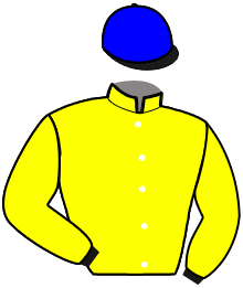 casaque portée par Stefani M. jockey du cheval de course FUOCO DEGLI DEI, information pmu ZETURF casaque portée par Stefani M. jockey du cheval de course FUOCO DEGLI DEI, information pmu ZETURF