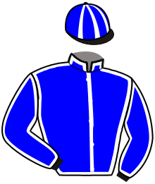 casaque portée par Ouvrie F. jockey du cheval de course ROXTON, information pmu ZETURF casaque portée par Ouvrie F. jockey du cheval de course ROXTON, information pmu ZETURF