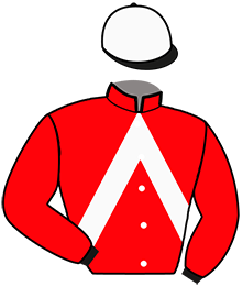 casaque portée par Mlle Lepage A. jockey du cheval de course L'ARTISTE DE JANZE, information pmu ZETURF