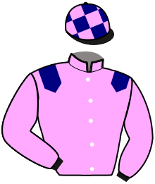 casaque portée par Viaud Tho. jockey du cheval de course JOSY, information pmu ZETURF