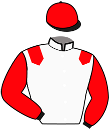casaque portée par Vassard B. jockey du cheval de course KRAK DU RIEU, information pmu ZETURF casaque portée par Vassard B. jockey du cheval de course KRAK DU RIEU, information pmu ZETURF