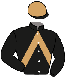 casaque portée par Le Bourhis Mlle M. jockey du cheval de course HOUPPELANDE, information pmu ZETURF casaque portée par Le Bourhis Mlle M. jockey du cheval de course HOUPPELANDE, information pmu ZETURF