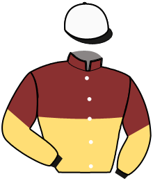 casaque portée par Briand Y. A. jockey du cheval de course ZIGULI DEI GREPPI, information pmu ZETURF