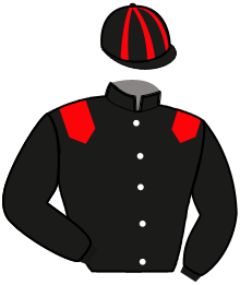 casaque portée par Le Vexier R. jockey du cheval de course GAYA DE LORGE, information pmu ZETURF